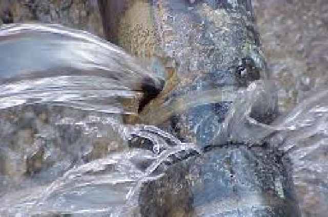 Ümraniye Tesisatcisi